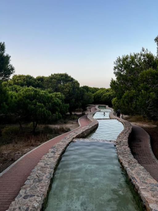 Apartament Viajeros Vinamar VII Torre La Mata Exterior foto